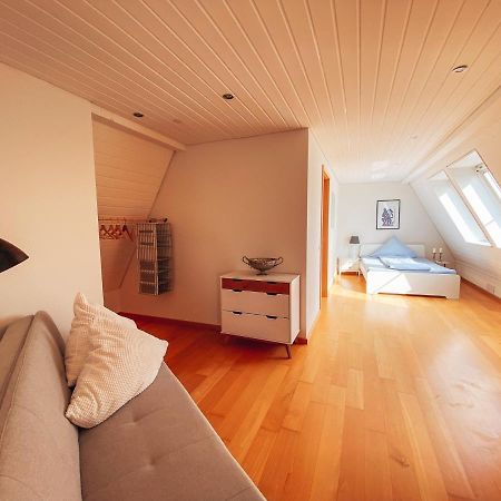 Rheinloft 3 - Große Giebelwohnung mit Dachterrassen an der Rheinpromenade Emmerich Exterior foto