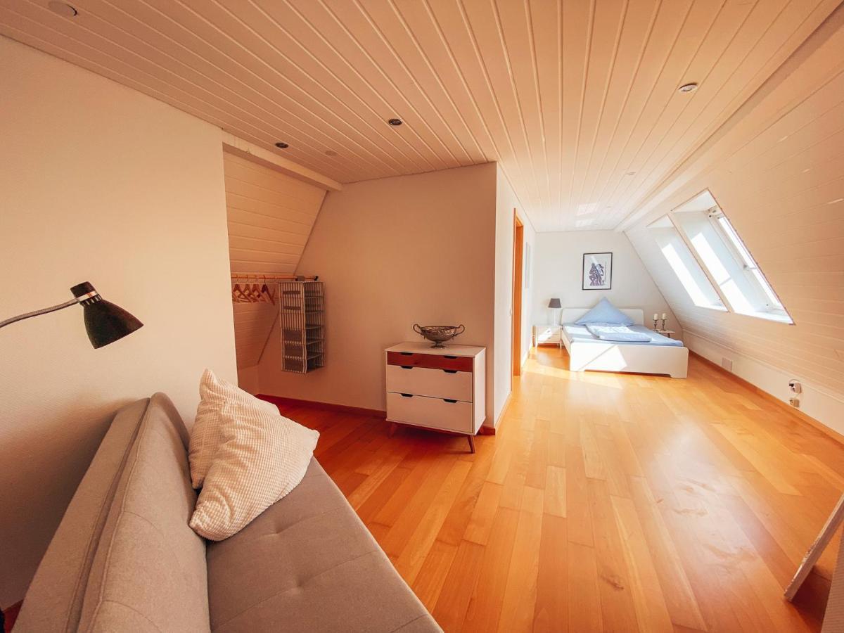 Rheinloft 3 - Große Giebelwohnung mit Dachterrassen an der Rheinpromenade Emmerich Exterior foto